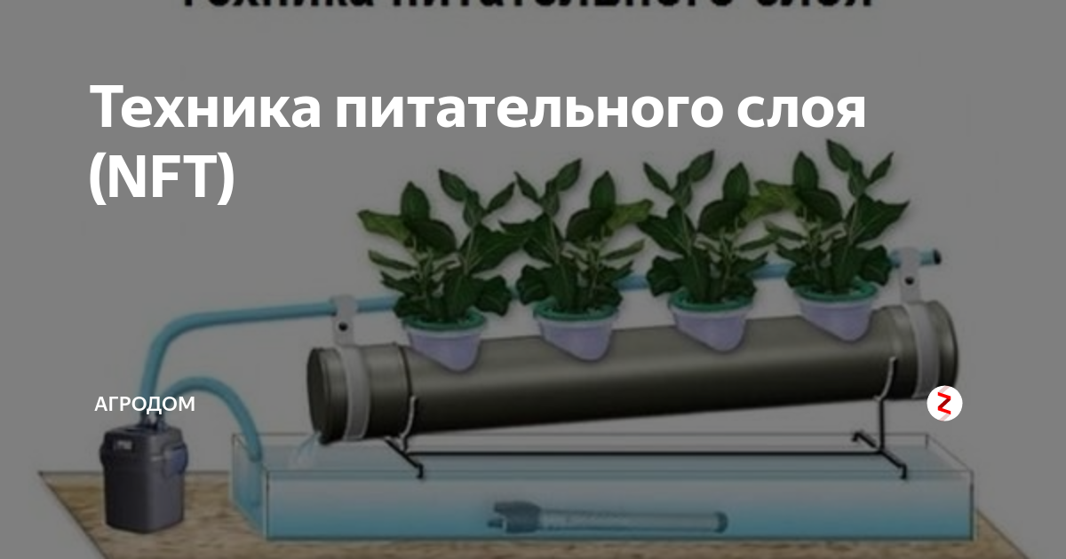 Nft рисунки продажа