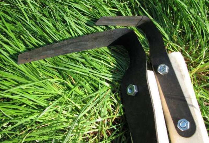 (Фото из интернета)