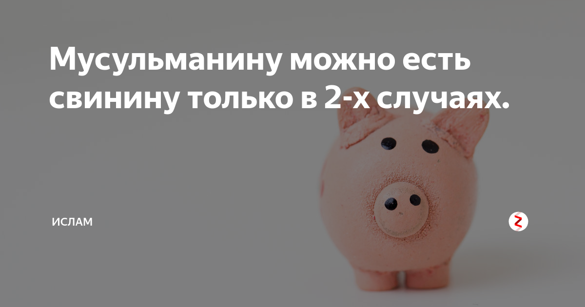 Можно есть свинину. Почему не стоит откладывать деньги с детства. Белкасвин
