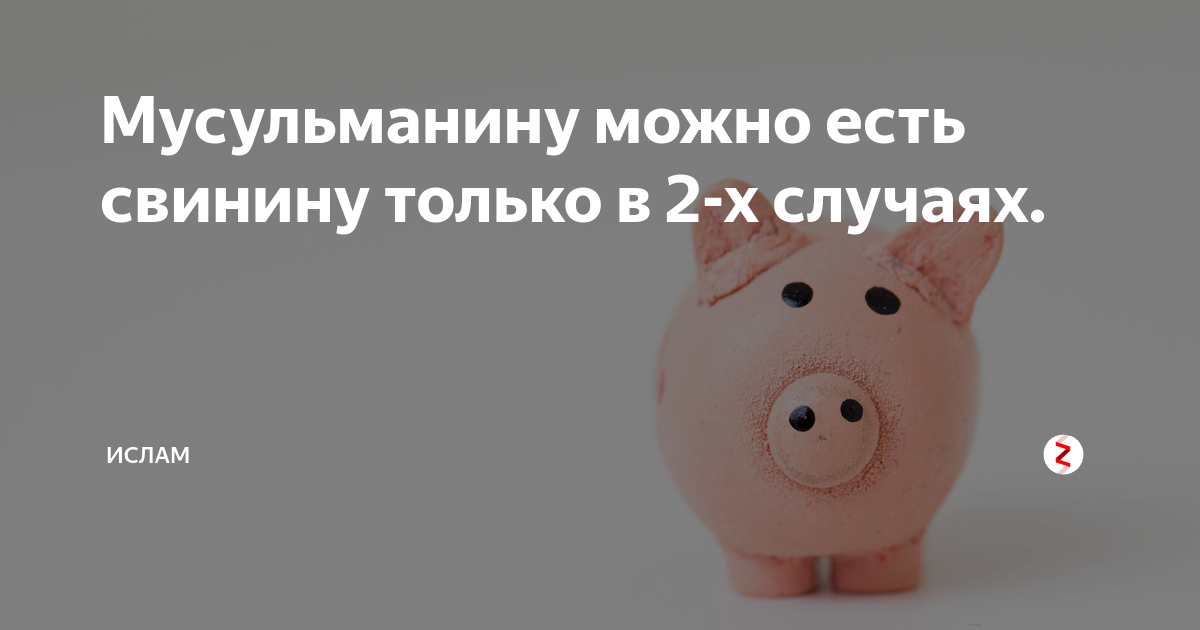 Едят ли свинину. Почему не стоит откладывать деньги с детства. Белкасвин.