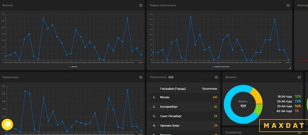 Пример собранной статистики о визитах и новых посещениях на одном экране