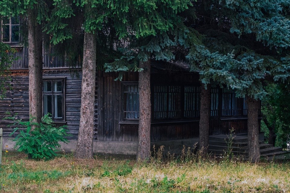  Фото: https://pixabay.com/