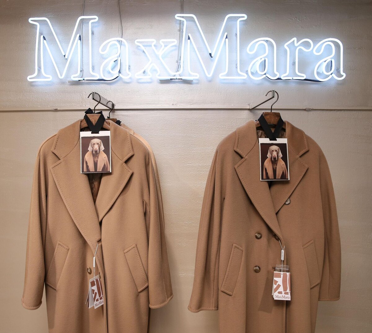 MaxMara 