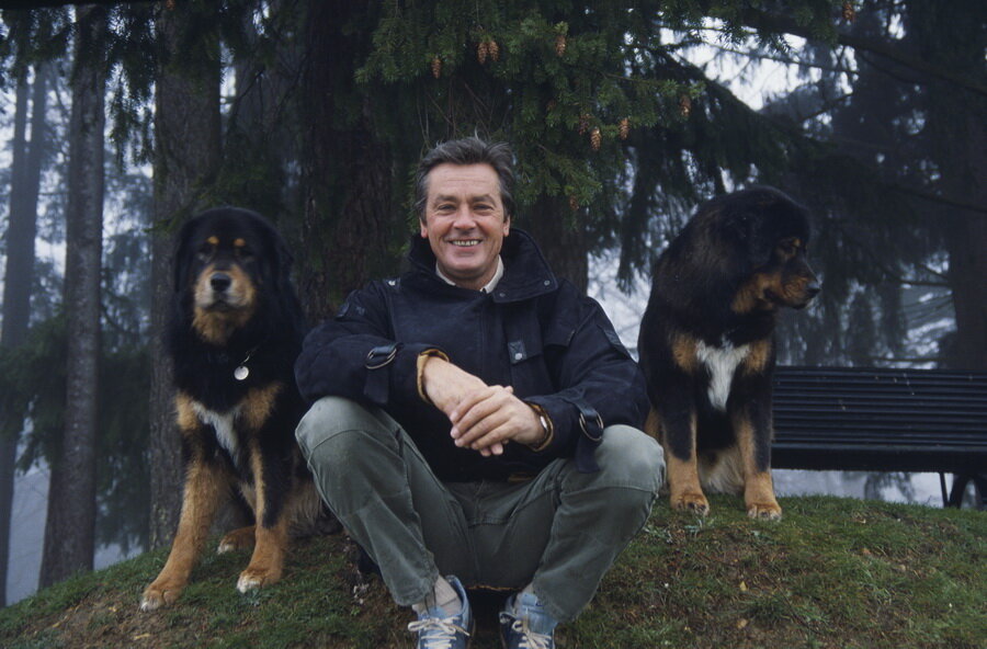 Фото из открытого источника: Ален Делон со своими собаками