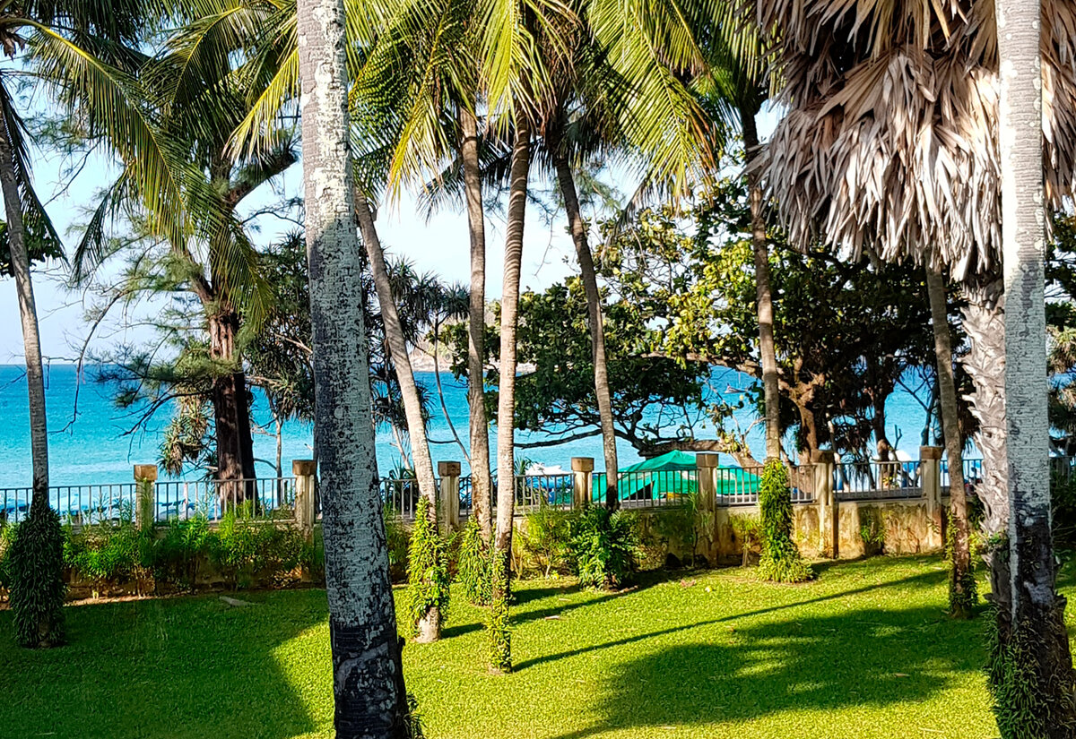 Большая часть первой линии пляжа Ката занята отелем Club Med