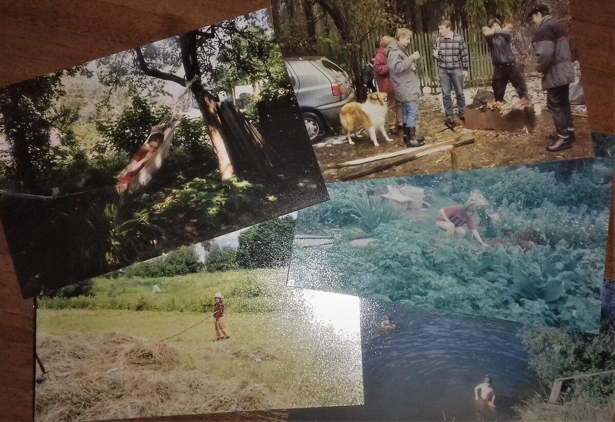Признаюсь, с поездками на чужие дачи на выходные у меня связано много классных воспоминаний. Однако собственную я по-прежнему не хочу.  