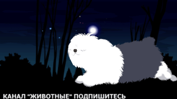 -8