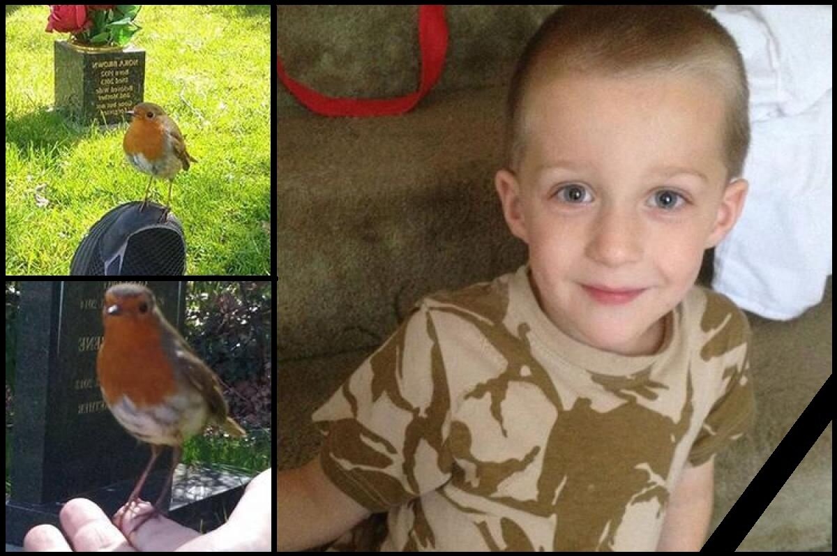 Паранормальное, Мистика, Смерть, Знаки