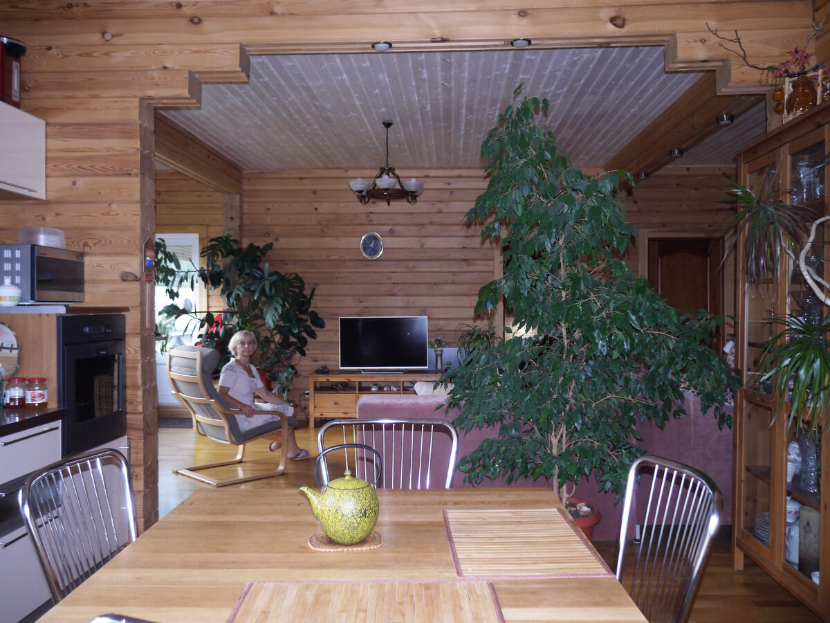 Зал, вид из кухни.