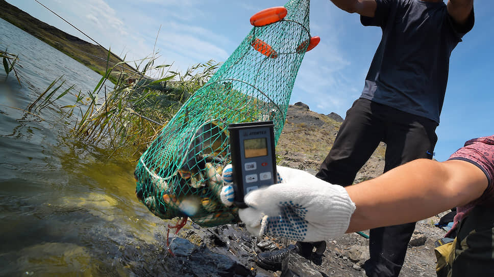 Фото: Дмитрий Лебедев / Коммерсантъ