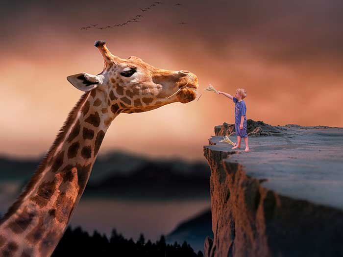 Могут ли сны быть чем-то большим, чем неконтролируемое кино?