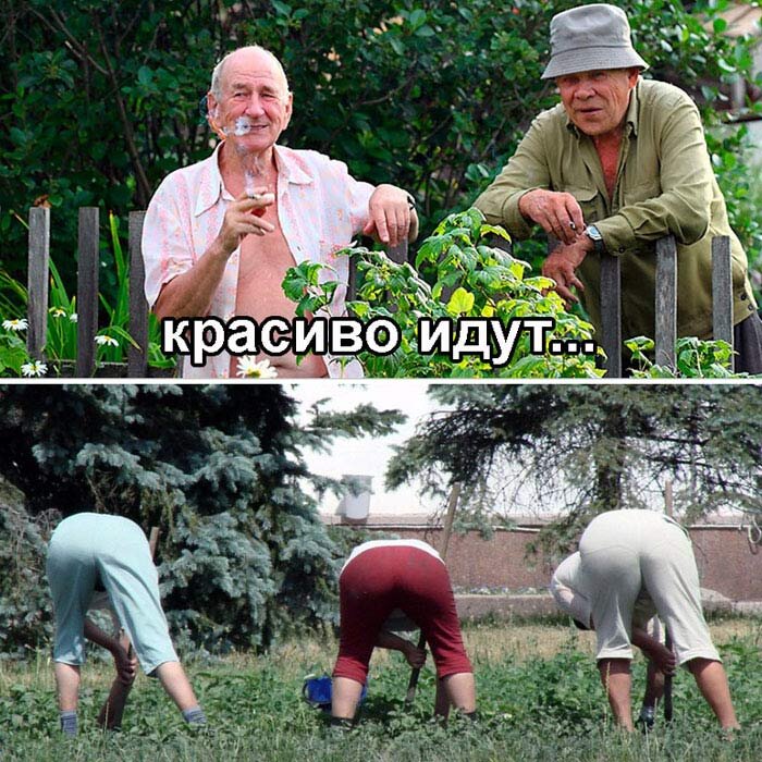 Фото lugaland.com