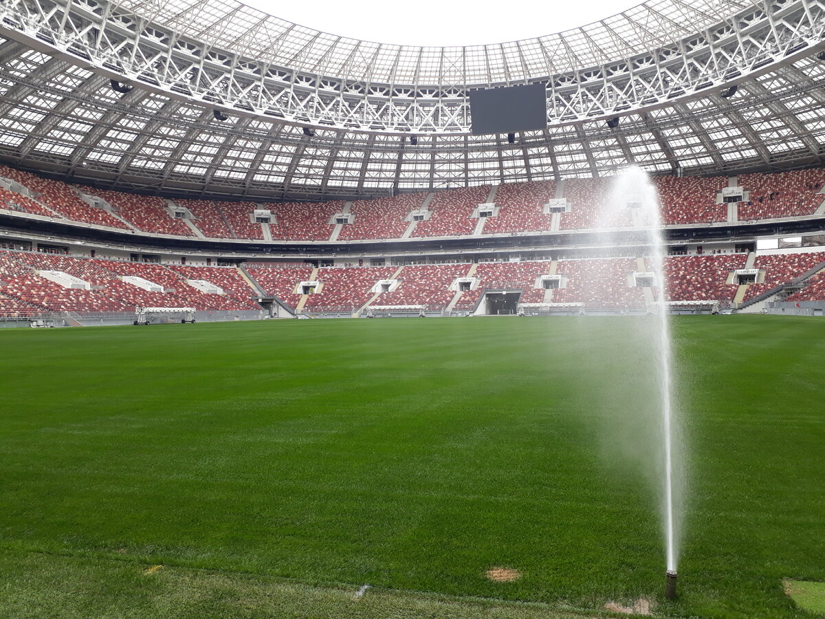 Газон "Лужников" перед матчем Россия - Шотландия. Фото Артема Локалова