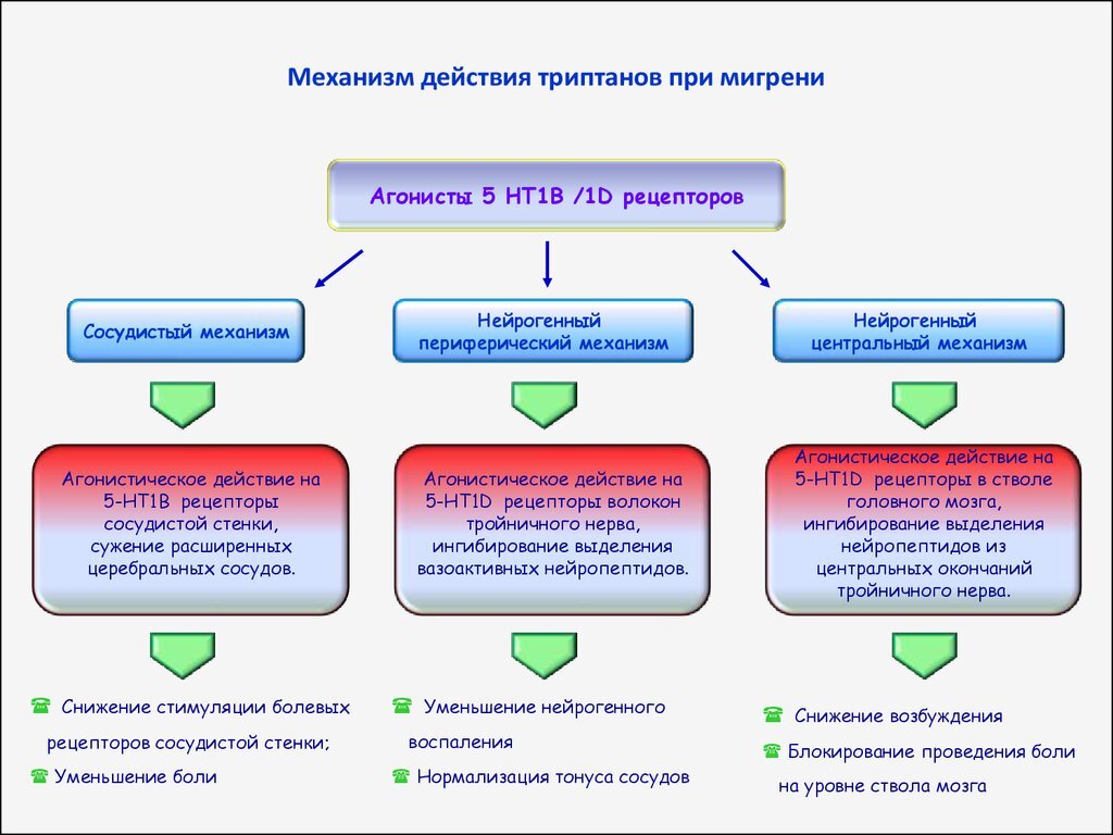 При мигрени сосуды расширяются или сужаются