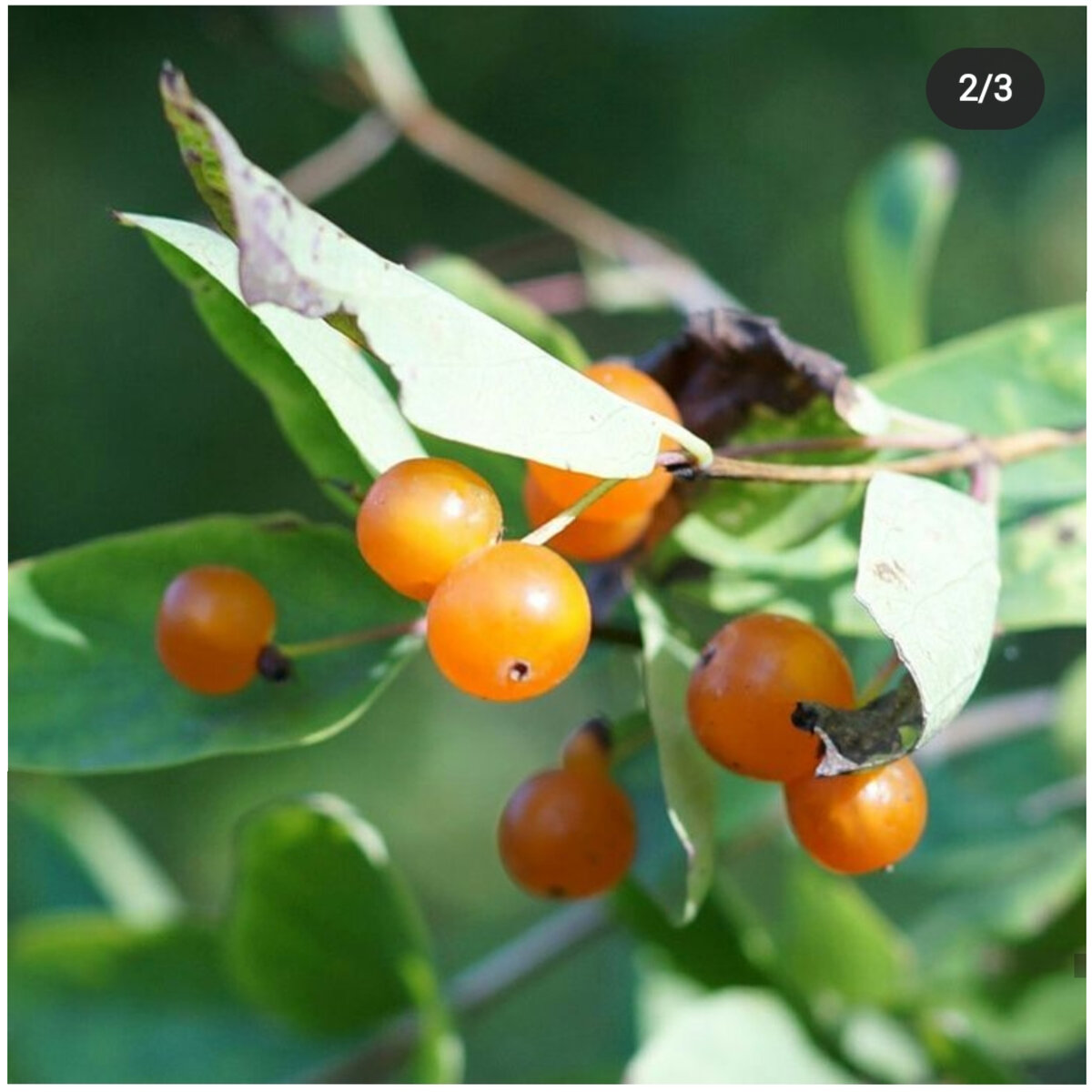 
Фото ж. татарской Галина Чуланова 

