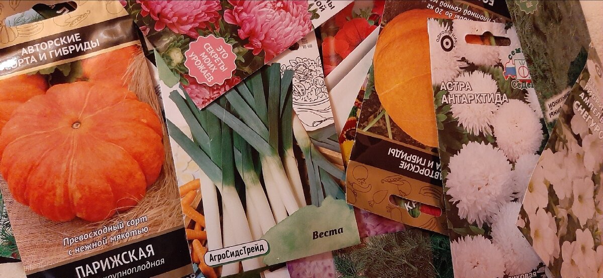 Фото из семейного архива