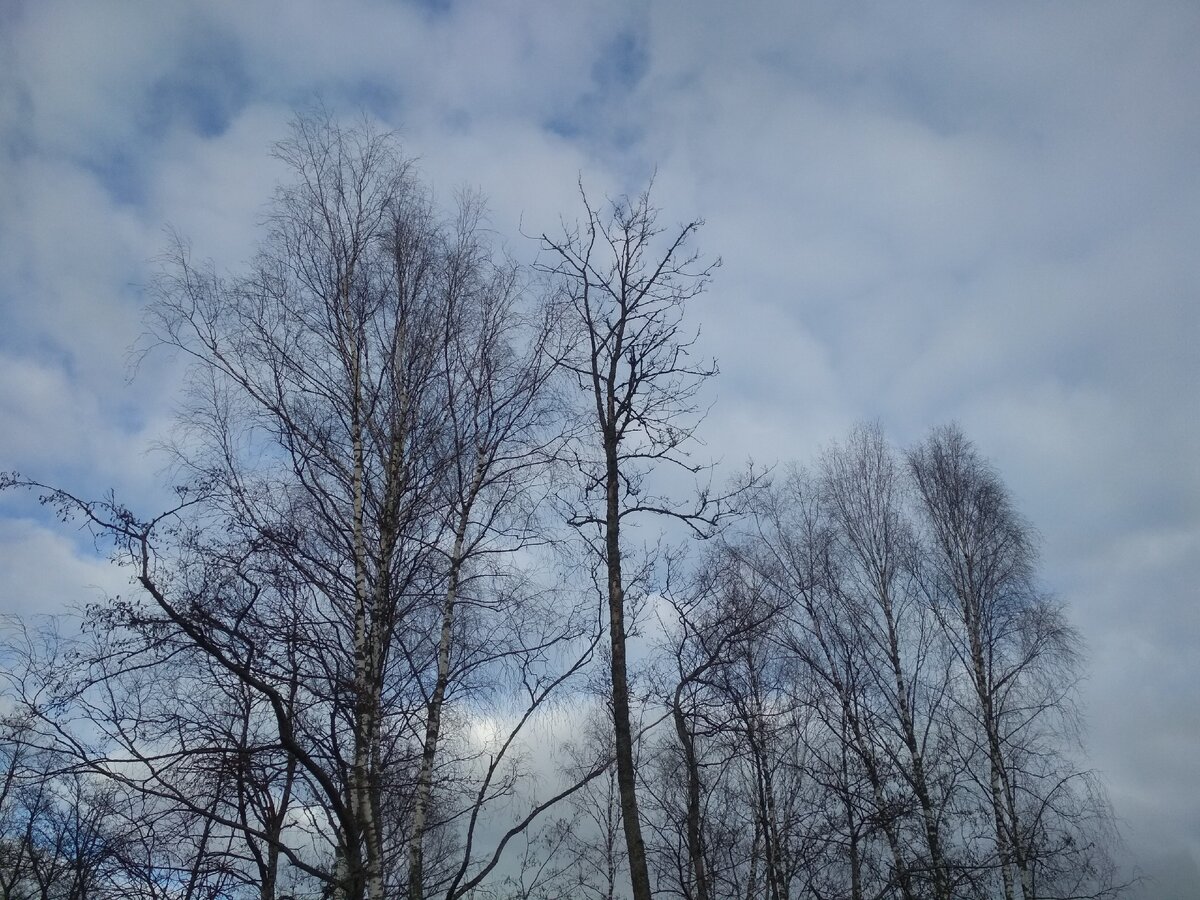 Фото из личного архива