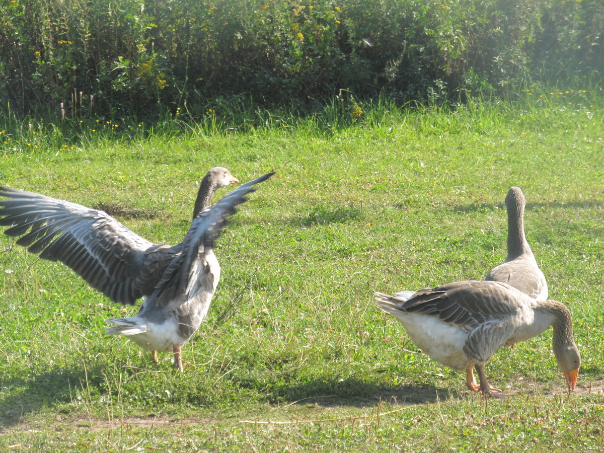 Фото автора. 