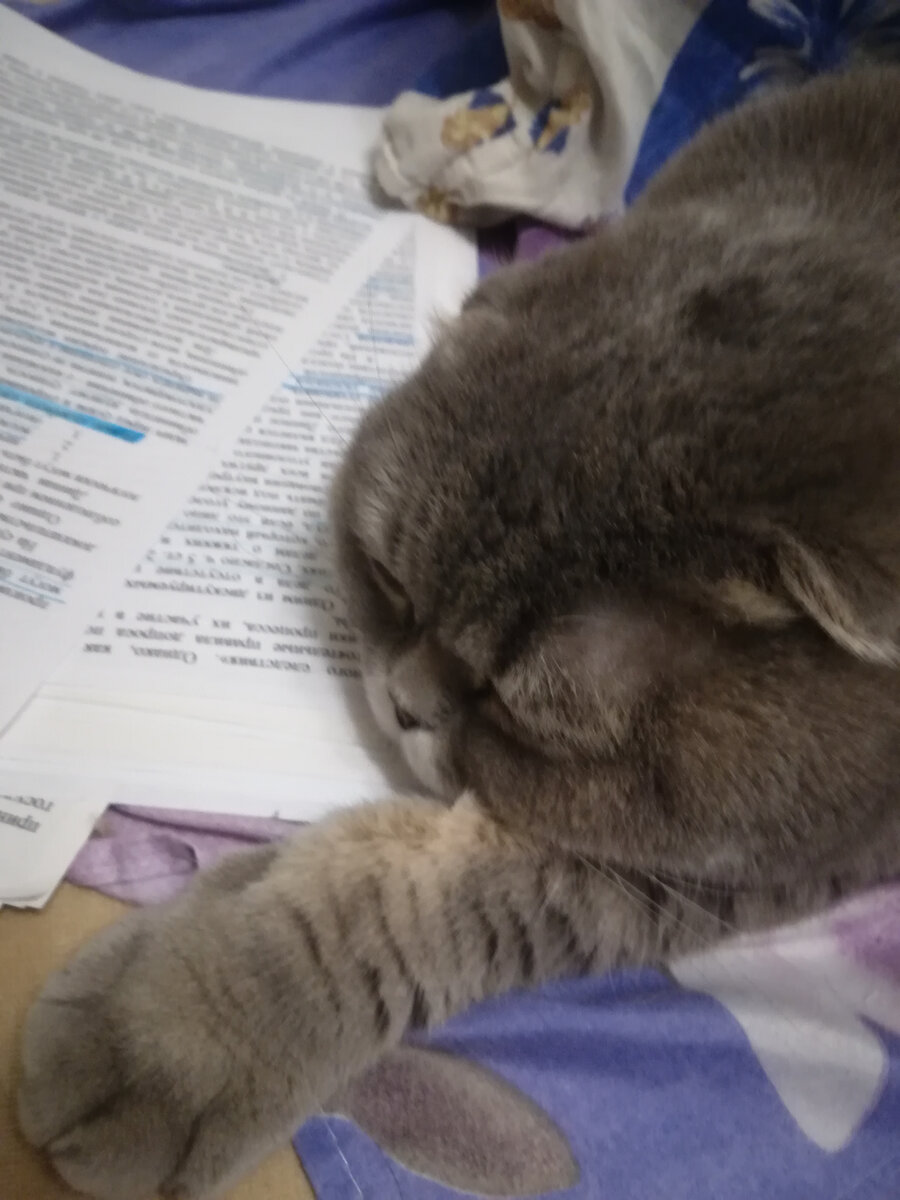 Готовился со мной ко всем экзаменам