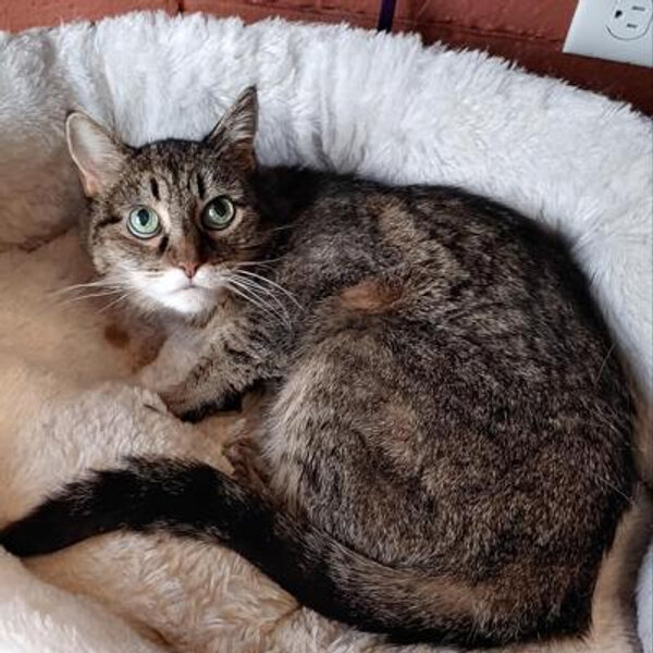 Фото © Reddit / manmincraft