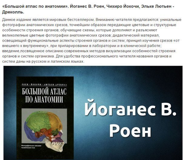 Хорошо продуманный план споткнулся об ужаснувшее мартина предположение что спрашивать следовало арт