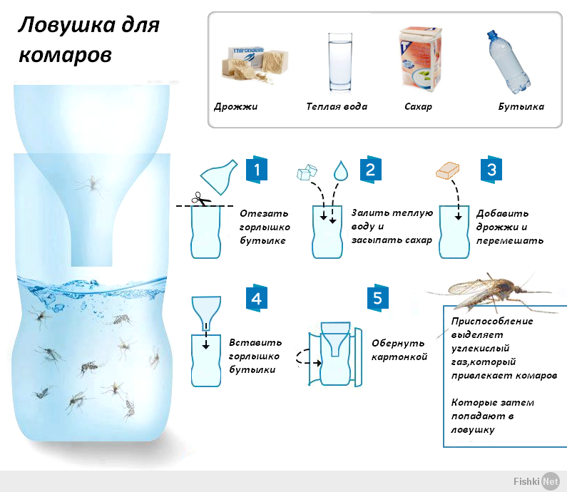 Как самому сделать безвредную ловушку для комаров