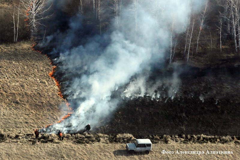 ЧИТАЙТЕ ТАКЖЕВсё не сгорело. И на том спасибо3 мая 2018Пять тысяч человек спасали Курганскую область от разгильдяйства