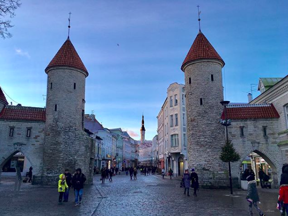 Фото: www.instagram.com/elena.kozinova/