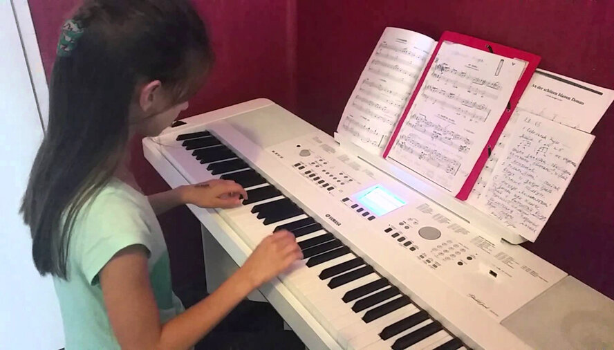 Не покупайте первый понравившийся синтезатор. Конечно, это принесёт вам радость и избавит от утомительных поисков. Так вы убережётесь от переплаты и разочарования после нескольких месяцев использования. Бывает, что звучание и комплектация у модели конкурирующей фирмы намного лучше, хотя инструмент стоит на несколько тысяч дешевле.                                                                                                                              