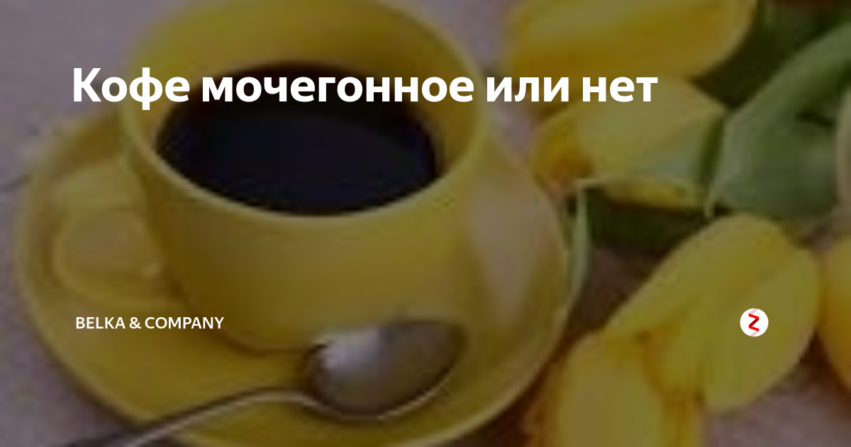 Кофе мочегонный или нет