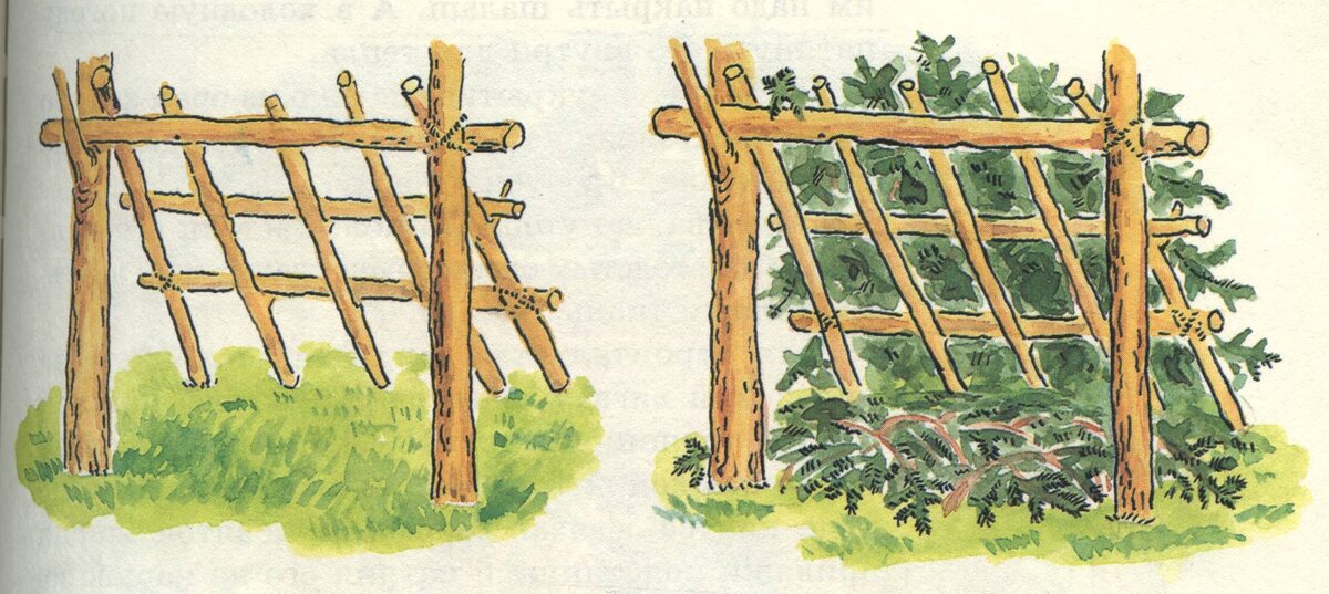 Односкатный шалаш (взято с infourok.ru)