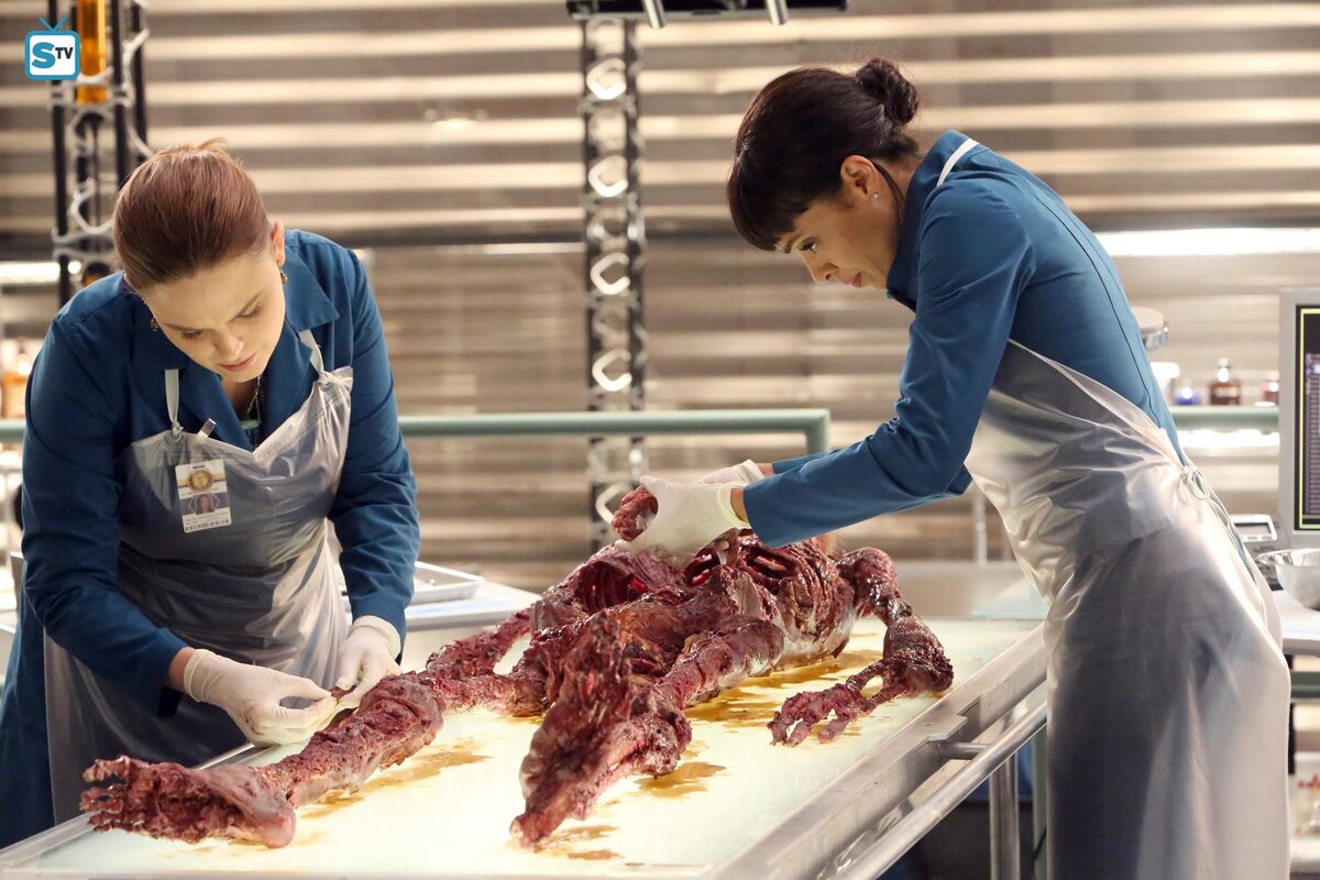 Больше таких сюжетных линий по ТВ не увидим. Источник фото: интернет