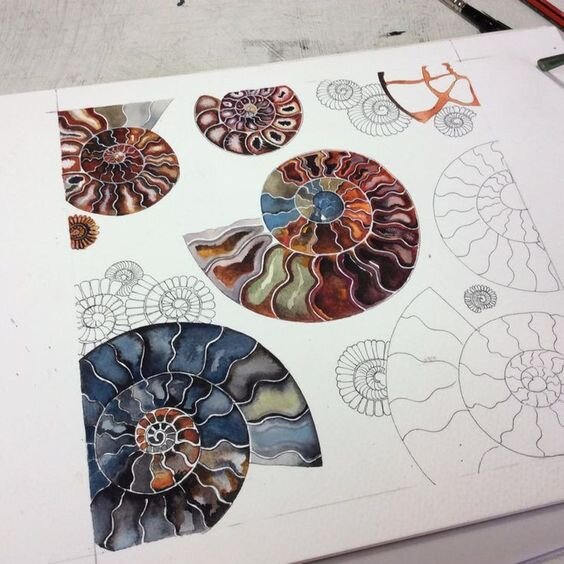 Акварельные ракушки со страницы автора "Sam Cannon Art More"