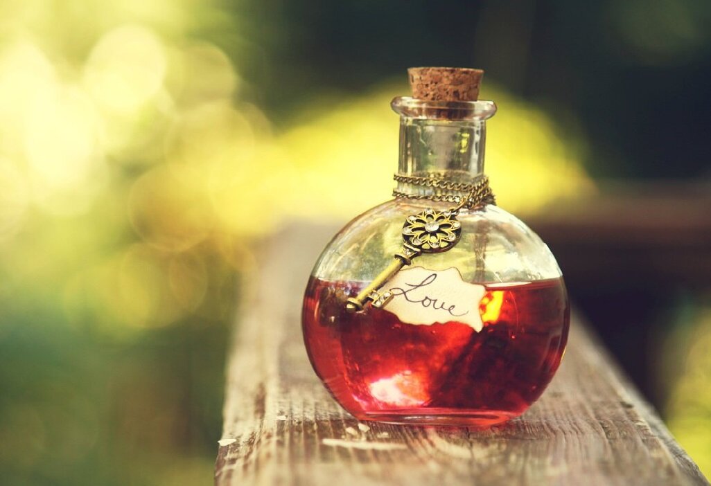 Изображение взято с сайта https://unsplash.com/