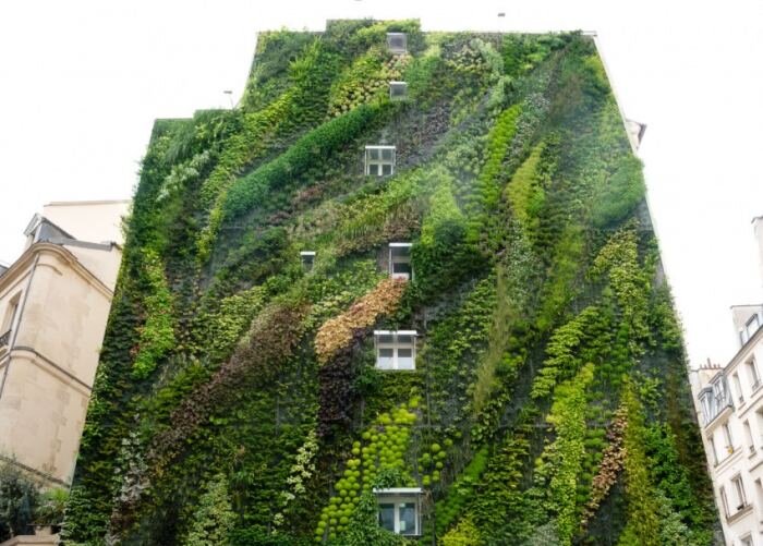 Преимущества вертикального озеленения балконов