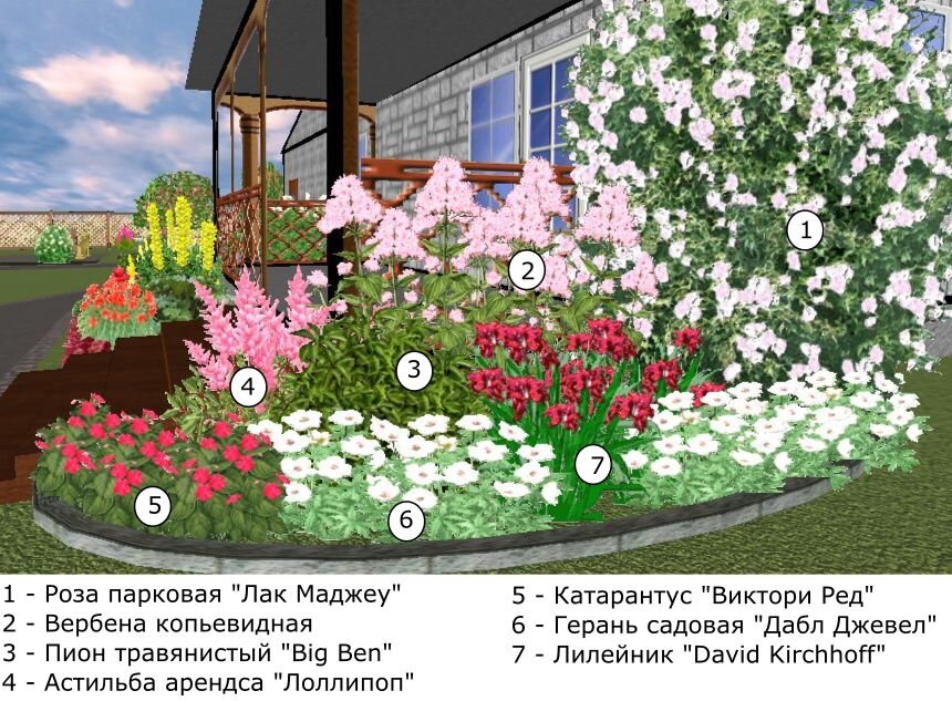 Цветник в июле