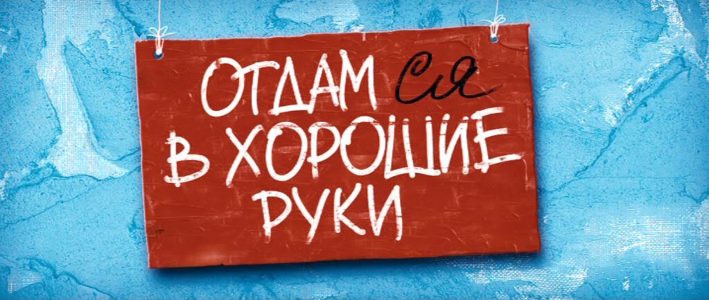 В хорошие руки русский. Отдам в хорошие руки бесплатно. Отдам в добрые руки сердце. Отдам сердце в хорошие руки. Картинки отдам в хорошие руки.