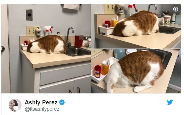 Источник: twitter.com