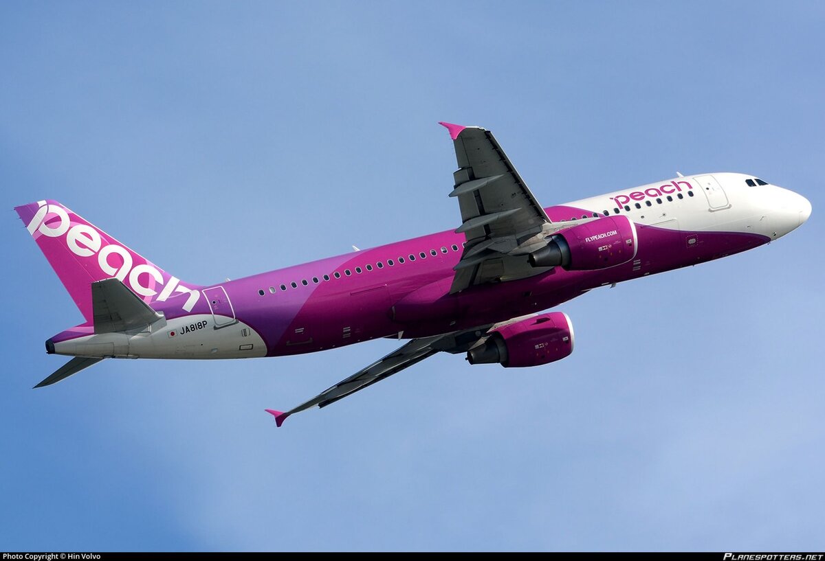 All Nippon Airways сделала ставку на развитие низкобюджетного бренда Peach и европейскую технику в нём: к 21 самолёту Airbus A320ceo (по 180 кресел), которые в его фиолетовой ливрее летают сегодня, в ближайшие шесть лет будет добавлено ещё 45. Помимо прямых заказов, сюда приплюсуются 15 машин от Vanilla Air (JW), которую вольют в Peach до конца марта 2020 года 