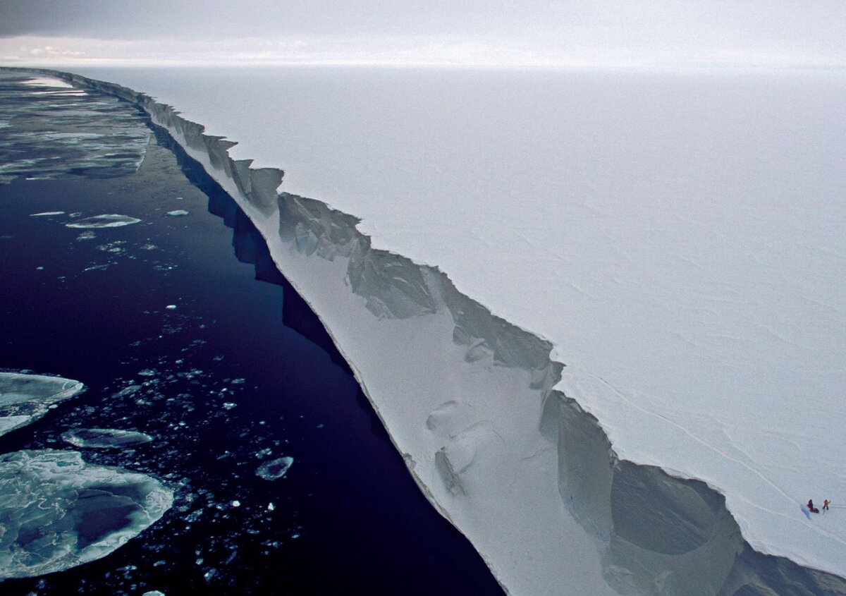 Шельфовые ледники Антарктиды