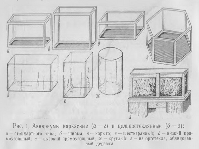 Внешний вид каркасных и цельностеклянных аквариумов.