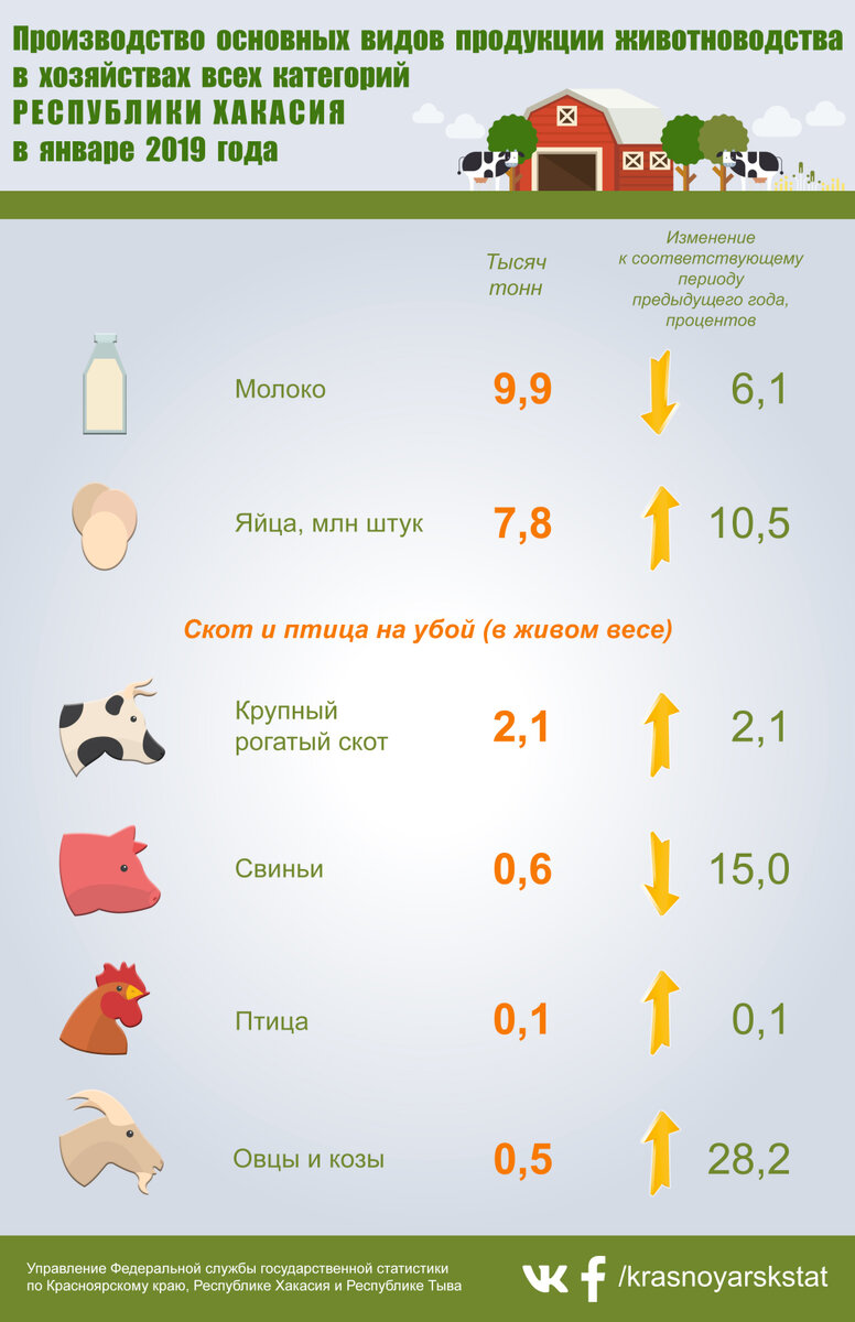 Производство основных видов продукции животноводства в хозяйствах всех  категорий Республики Хакасия в январе 2019 года | Красноярскстат | Дзен