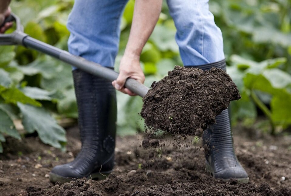 Условия для успешного роста и развития растений