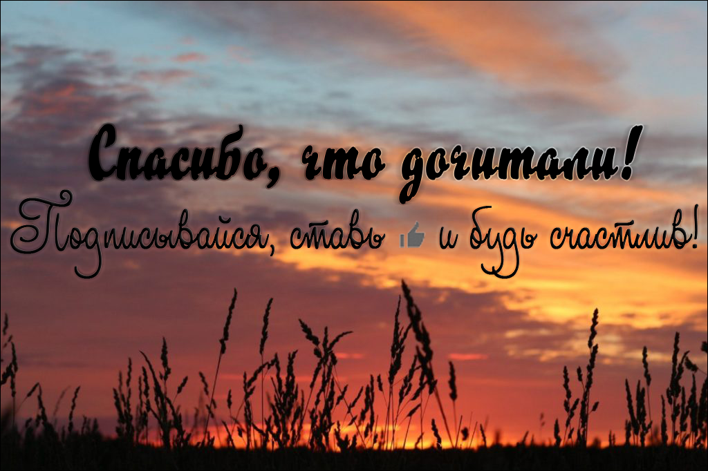 полынь дзен