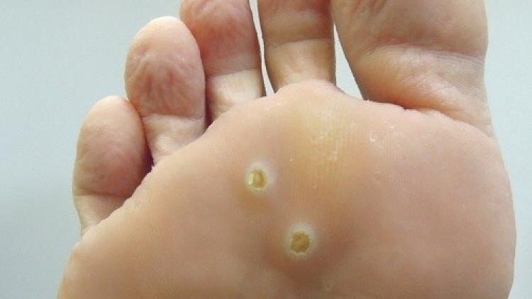 фото с сервиса Яндекс картинки