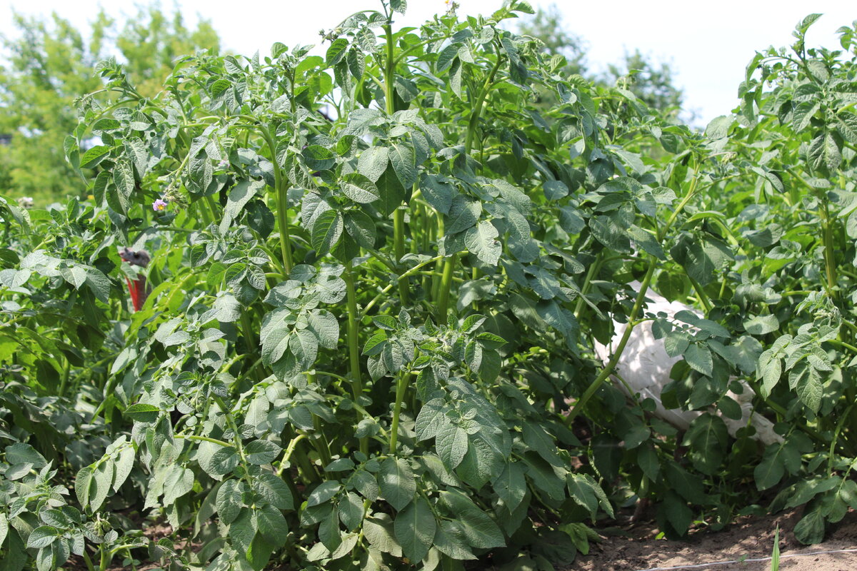 Найди меня.