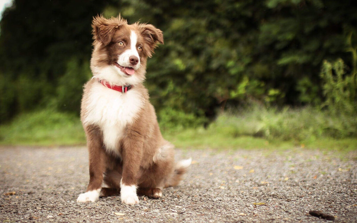 Фото взято из интернета