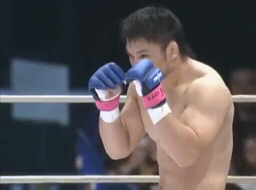 Японский рестлер в действие.