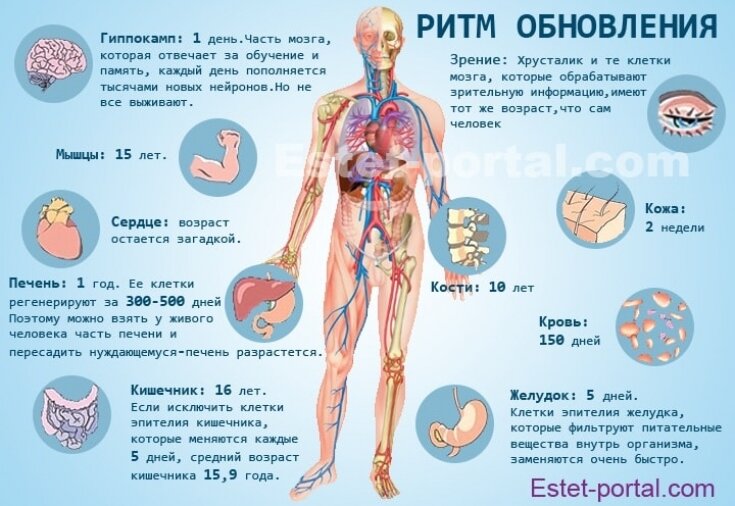 из открытого источника