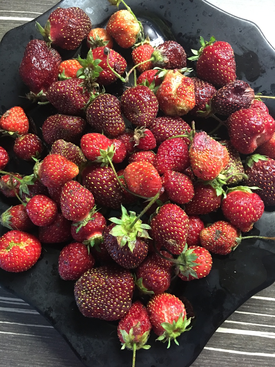 Даже если перед Вами «диетическая» клубника